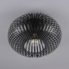 Lampa nasufitowa JOHANN 606903032 Trio klatka do jadalni czarna