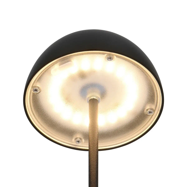 Stołowa lampka bezprzewodowa ORTIZ R55601132 LED 2W 3000K IP44 czarny