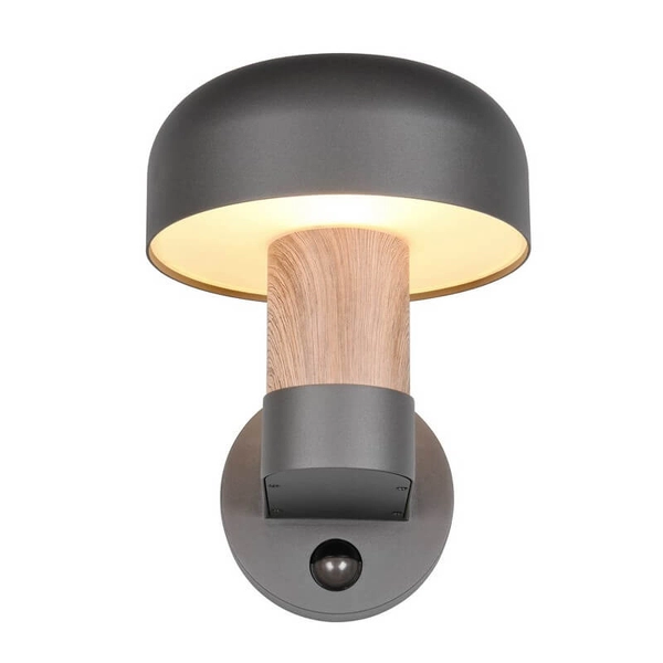 Zewnętrzna lampa ścienna FRASER 262569135 na elewację IP54 szara