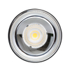 Sufitowy downlight Roller DLB10WW Blaupunkt natynowy LED 10W 3000K czarny