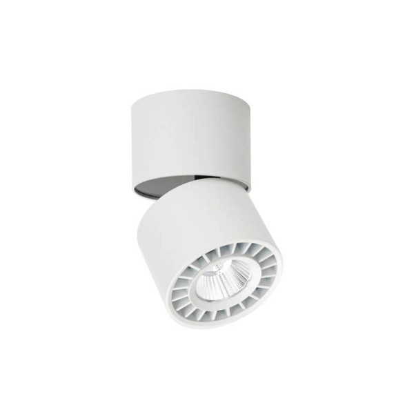 Regulowany downlight pokojowy Herios LED 12W 3000K tuba z regulacją biała