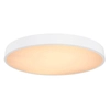 Przysufitowa lampa Wiss 41744- 48 ściemniacz LED 48W biała