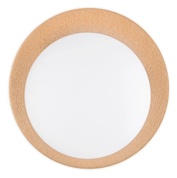 Plafon kuchenny Aleta R64611179 RL Light LED 24W 2700-6500K złoty biały