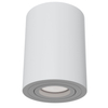 Lampa nastropowa tuba Atom C016CL-01W regulacja kąta światła biała