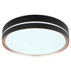 Nowoczesna LAMPA sufitowa MANNI 41759-24 Globo okrągły plafon LED 24W 2700K - 6500K z pilotem czarny