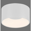 Sufitowa lampa Tanika 14325-16 Just Light LED 13W 3000K tubka biała