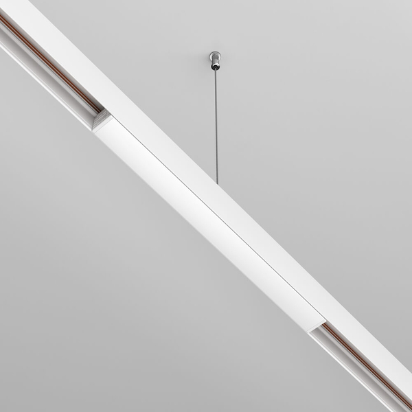 Podłużny zasilacz magnetyczny EXILITY TRX034DR4-100W-1 LED 100W biały