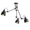Metalowa lampa przysufitowa Aida 842PL_E Aldex na wysięgnikach czarna