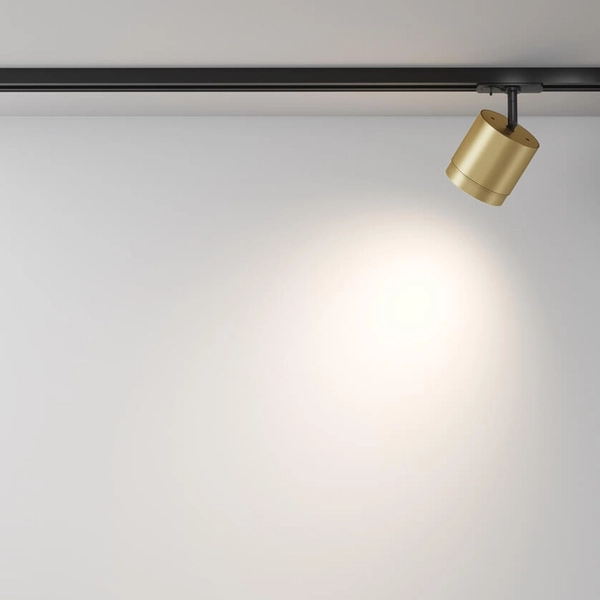 Lampa sufitowa Polar TR088-1-GX53-MG tuba do szyny 1-fazowej mosiądz