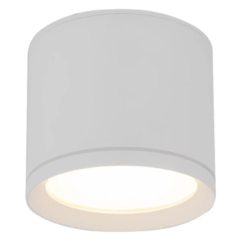 Downlight sufitowy do kuchni Viwo 10595 tuba nad blat IP44 biały