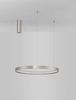 Pierścieniowa lampa wisząca ZACAPU LE42791 Luces Exclusivas LED 42W 3000K srebrna