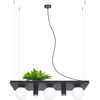 Lampa wisząca Plant Shelf 5555 Zumaline półka na rośliny kule czarne białe
