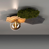 Plafon do kuchni Green 15199-70 Just Light bańka zielony drewniany szary OUTLET