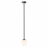 Sufitowa lampa łazienkowa Ice Egg 8124 IP44 jajo metalowa biały czarny