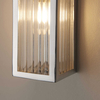 Elewacyjna lampa Newham 96221 Endon IP44 transparentna chrom