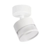 Regulowana lampa sufitowa Kendal LP-6331/1WS TR/WH reflektorek biały