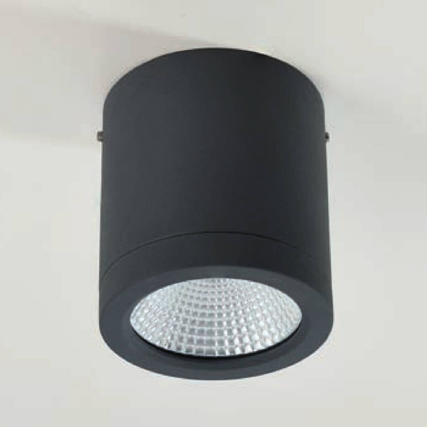 Łazienkowa lampa sufitowa Conyon AZ6025 LED 10W 3000-6000K IP54 czarny
