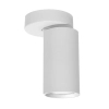 Regulowana sufitowa lampa Bora 1621 metalowa tubka biały