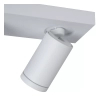 Podwójna lampa sufitowa TAYLOR 09930/10/31 Lucide IP44 tubki biała