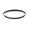 Owalna lampa sufitowa z pilotem PURE-LINES grafitowa 6306-13 1xLED 42W CCT