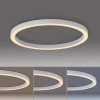 Sufitowa lampa sterowana pilotem PURE LINES biała 6306-16 1xLED 42W 2200-5500K CCT