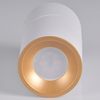 Regulowana lampa sufitowa Nixa downlight tuba biała złota