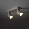 Sufitowa lampa do jadalni Livia 10239 podwójna tubki regulowana beżowa