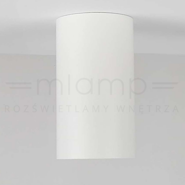 Spot LAMPA sufitowa DARIA ROUND 1W/W INQ okrągła OPRAWA natynkowa downlight tuba biała