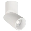 Regulowana lampa sufitowa Focus LED RNBS15WW 15W 3000K spot biały