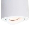 LAMPA sufitowa TULON LP-5441/1SM WH Light prestige metalowa OPRAWA tuba regulowany downlight biała