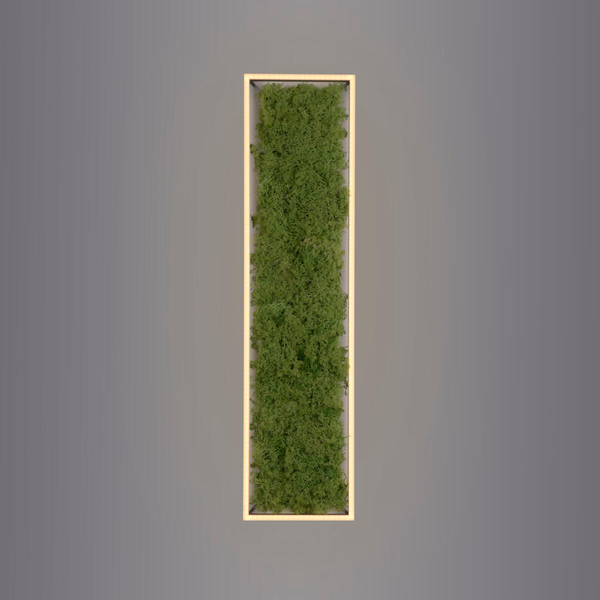 Dekoracyjny plafon GREEN KNUT 15623-66 LED 25W 3000K do jadalni zielony