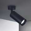 Sufitowy reflektor do gabinetu Focus C017CW-01B Maytoni regulowany czarny