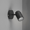 Regulowany reflektorek ścienny BRISA DL132880400 IP44 czarny
