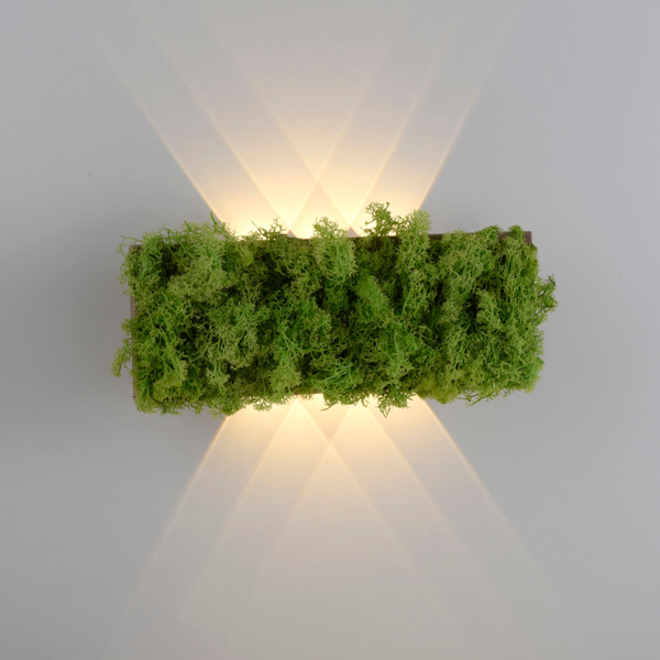 Naścienna lampa dekoracyjna GREEN CARL 15637-66 LED 0,8W 3000K zielony