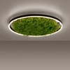 Lampa sufitowa salonowa GREEN RITU 15392-66 Just Light LED 28W 3000K zielony