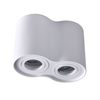 Downlight LAMPA sufitowa HADAR R2 313157 Polux regulowana OPRAWA metalowy spot tuby białe