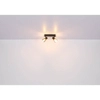 Sufitowa lampa ruchoma Claude 54307-2 czarna przydymiona