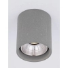 Cementowa sufitowa lampa TRAVONO LE75179 LED 10W 3000K IP65 szary