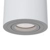 Lampa nastropowa tuba Atom C016CL-01W regulacja kąta światła biała