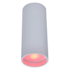 Natynkowa lampa metalowa STAG 8304801446 LED 4,7W 2700-6500K rurka biała
