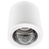 Natynkowa lampa sufitowa MERKURY 313560 downlight tuba biała