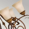 Łańcuchowa lampa wisząca Sonoma Valley FE-SONOMAVALLEY6 Feiss kielichy brązowa