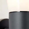 Elewacyjna lampa na zewnątrz Cliffi 96475/63 IP44 antracyt