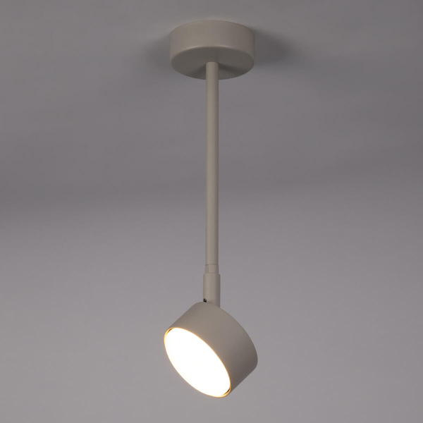 Regulowana lampa nasufitowa Nemo 40888 do przedpokoju szara