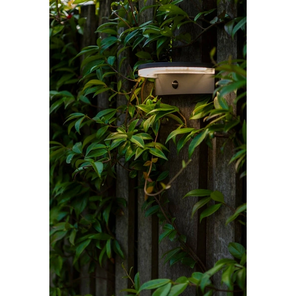 Solarna lampa elewacyjna VYZOR 6915701335 LED 7W 4000K IP44 ciemnoszara