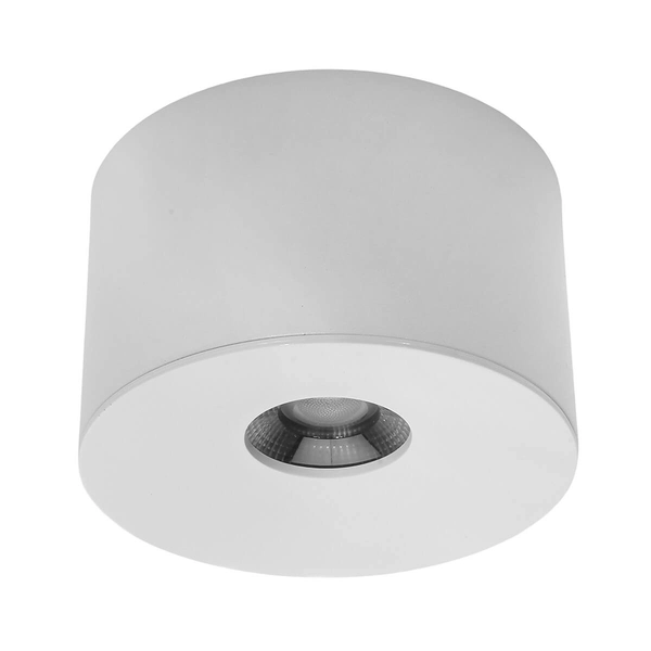 Natynkowa lampa sufitowa 1379 LED 10W 4000K IP44 biała