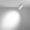 Lampa magnetyczna Focus TR032-4-12WTW-S-DD2-W LED 12W 2700K biała