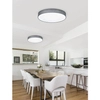 Lampa plafon Lugano 621912411 Trio LED 22W 3000K ring szara