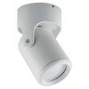 Spot LAMPA sufitowa DOMEN 03539 Ideus ścienna OPRAWA metalowy reflektorek SIENA tuba biała