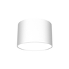 Pokojowa lampa sufitowa Dixie do przedpokoju loft biała